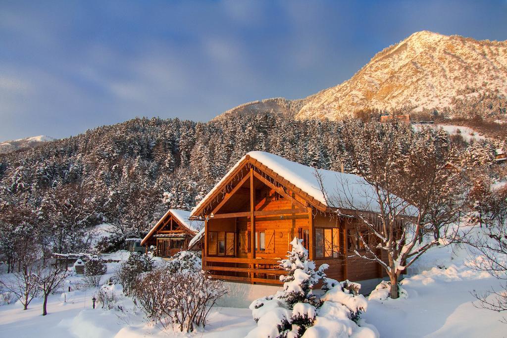 Chalet Carpe Diem La Bâtie-Neuve Oda fotoğraf