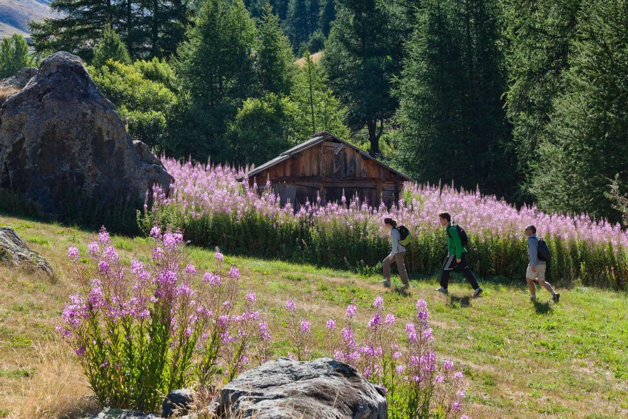 Chalet Carpe Diem La Bâtie-Neuve Dış mekan fotoğraf
