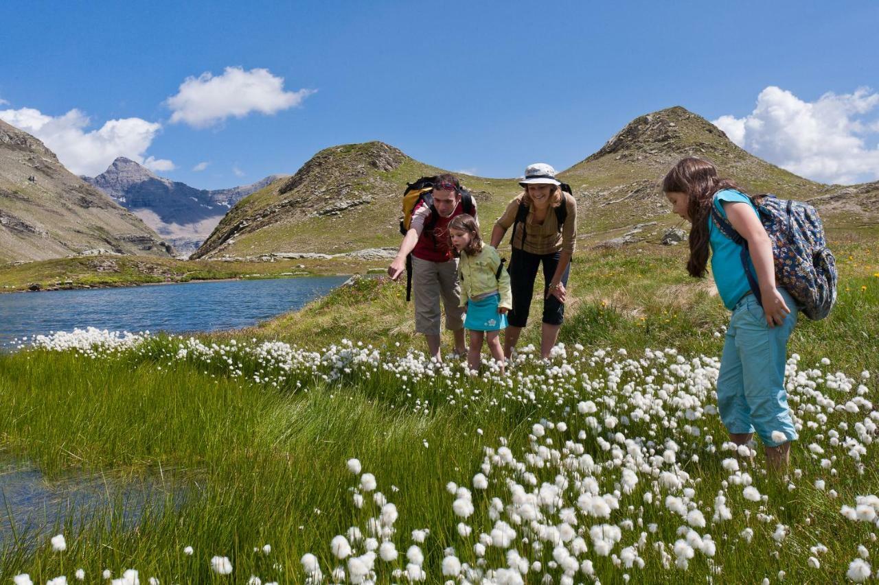 Chalet Carpe Diem La Bâtie-Neuve Dış mekan fotoğraf